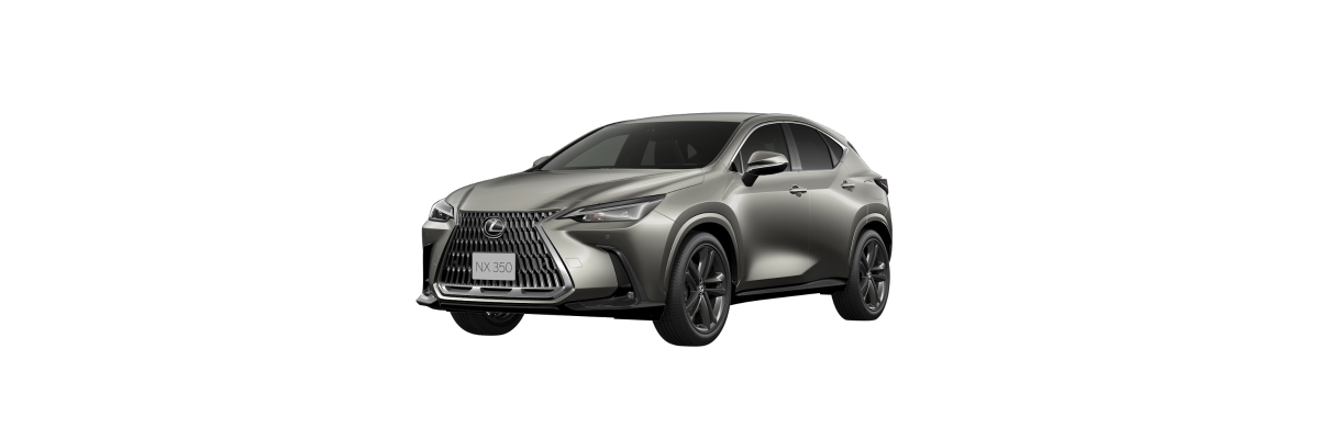 NX 350h HH Hybrid Executive